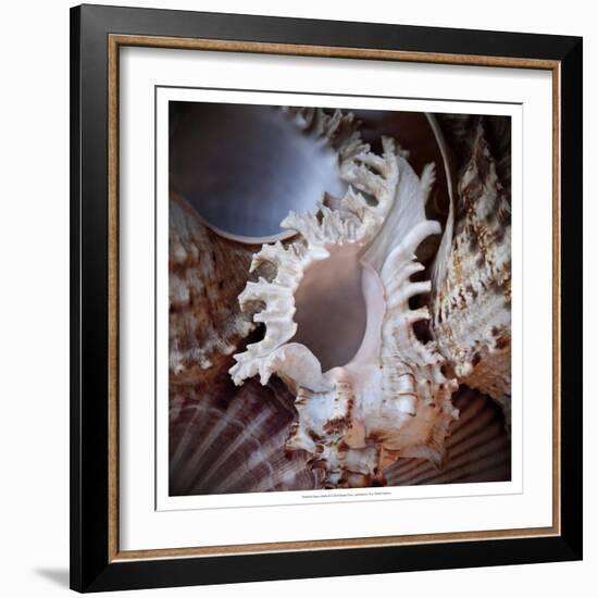 Macro Shells II-Rachel Perry-Framed Art Print