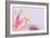 Macro Shot Flower Blossom-Deyan Georgiev-Framed Photographic Print