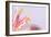 Macro Shot Flower Blossom-Deyan Georgiev-Framed Photographic Print