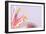 Macro Shot Flower Blossom-Deyan Georgiev-Framed Photographic Print