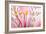 Macro Shot Flower Blossom-Deyan Georgiev-Framed Photographic Print