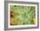 Macro Succulent I-Erin Berzel-Framed Photographic Print