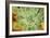 Macro Succulent I-Erin Berzel-Framed Photographic Print