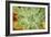 Macro Succulent I-Erin Berzel-Framed Photographic Print