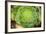 Macro Succulent III-Erin Berzel-Framed Photographic Print