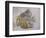 Macromesodon Macropterus Fish Fossil-Naturfoto Honal-Framed Photographic Print