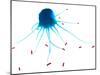 Macrophage Attacking Bacteria, Artwork-SCIEPRO-Mounted Photographic Print