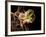 Macrophage Engulfing TB Bacteria, SEM-Science Photo Library-Framed Photographic Print