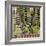 Macrophotograph of a Circuit Board-Dr. Jeremy Burgess-Framed Premium Photographic Print