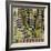 Macrophotograph of a Circuit Board-Dr. Jeremy Burgess-Framed Premium Photographic Print