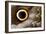 Macrophotograph of Owl Butterfly Wing-Dr. Keith Wheeler-Framed Photographic Print