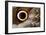 Macrophotograph of Owl Butterfly Wing-Dr. Keith Wheeler-Framed Photographic Print