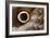 Macrophotograph of Owl Butterfly Wing-Dr. Keith Wheeler-Framed Photographic Print