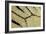 Macrophotograph of Papilio Zalmoxis Wing-Dr. Keith Wheeler-Framed Photographic Print