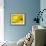 Mad About Yellow-Ursula Abresch-Framed Photographic Print displayed on a wall