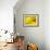 Mad About Yellow-Ursula Abresch-Framed Photographic Print displayed on a wall