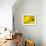 Mad About Yellow-Ursula Abresch-Framed Photographic Print displayed on a wall