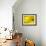 Mad About Yellow-Ursula Abresch-Framed Photographic Print displayed on a wall