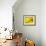 Mad About Yellow-Ursula Abresch-Framed Photographic Print displayed on a wall