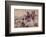 Mad Cow-Charles Marion Russell-Framed Art Print