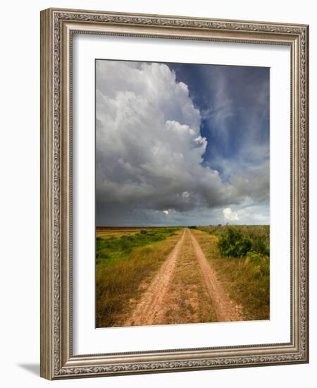 Mad Island Marsh Preserve, Texas: a Dirt Path Leading Throughout the Marsh.-Ian Shive-Framed Photographic Print