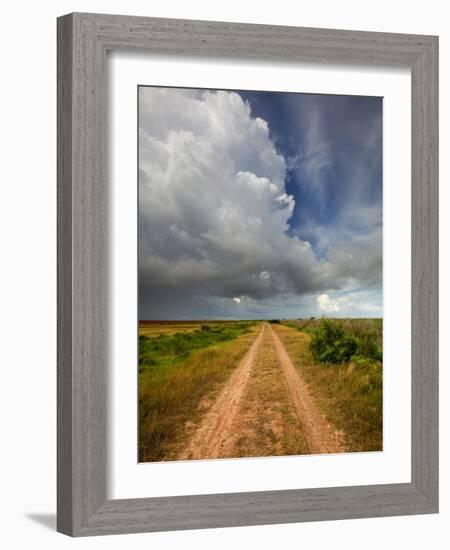 Mad Island Marsh Preserve, Texas: a Dirt Path Leading Throughout the Marsh.-Ian Shive-Framed Photographic Print