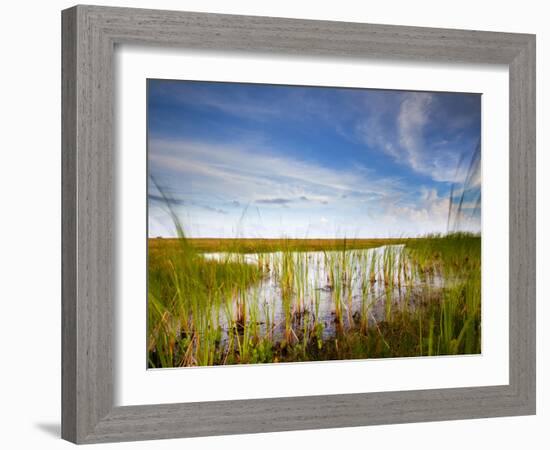 Mad Island Marsh Preserve, Texas: Landscape of the Marsh During Sunset.-Ian Shive-Framed Photographic Print