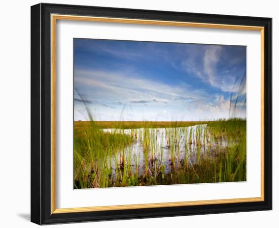 Mad Island Marsh Preserve, Texas: Landscape of the Marsh During Sunset.-Ian Shive-Framed Photographic Print