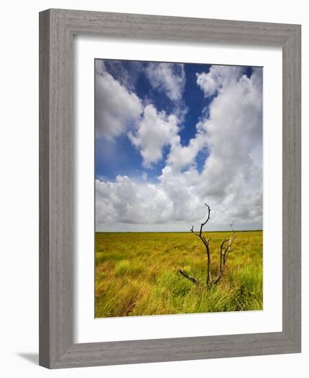 Mad Island Marsh Preserve, Texas: Landscape of the Marsh's Coastal Plains Near Sunset.-Ian Shive-Framed Photographic Print