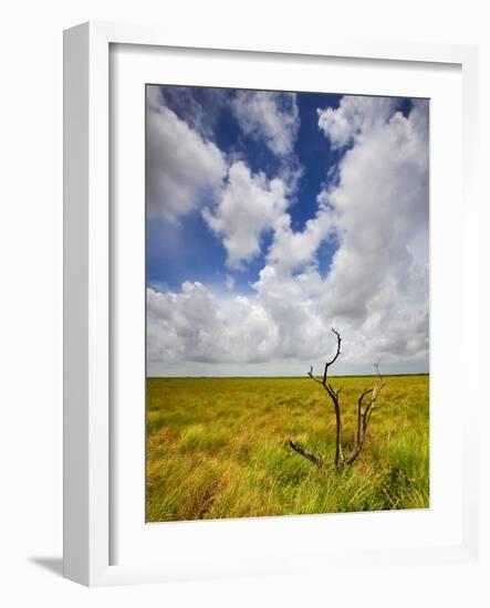 Mad Island Marsh Preserve, Texas: Landscape of the Marsh's Coastal Plains Near Sunset.-Ian Shive-Framed Photographic Print