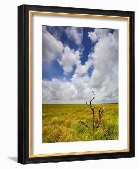 Mad Island Marsh Preserve, Texas: Landscape of the Marsh's Coastal Plains Near Sunset.-Ian Shive-Framed Photographic Print