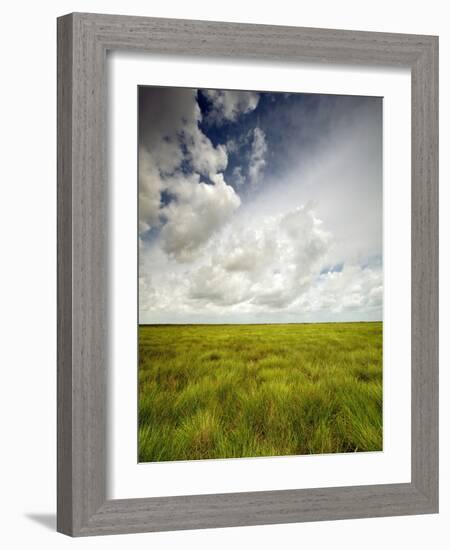 Mad Island Marsh Preserve, Texas: Landscape of the Marsh's Coastal Plains Near Sunset.-Ian Shive-Framed Photographic Print