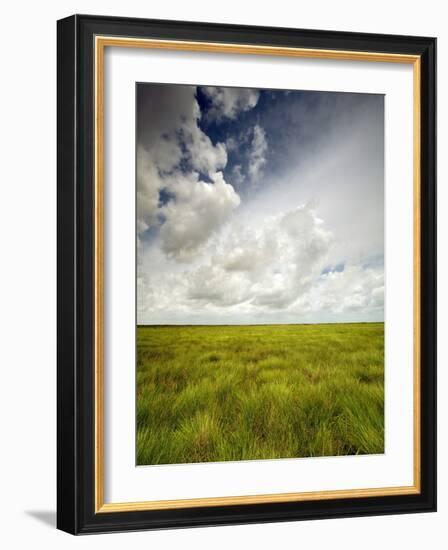 Mad Island Marsh Preserve, Texas: Landscape of the Marsh's Coastal Plains Near Sunset.-Ian Shive-Framed Photographic Print