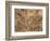 Mad Meg (De Dulle Grie)-Pieter Bruegel the Elder-Framed Giclee Print