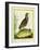 Madagascar Button Quail-Georges-Louis Buffon-Framed Giclee Print