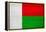 Madagascar Flag Design with Wood Patterning - Flags of the World Series-Philippe Hugonnard-Framed Stretched Canvas