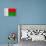 Madagascar Flag Design with Wood Patterning - Flags of the World Series-Philippe Hugonnard-Framed Stretched Canvas displayed on a wall