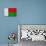 Madagascar Flag Design with Wood Patterning - Flags of the World Series-Philippe Hugonnard-Premium Giclee Print displayed on a wall