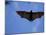 Madagascar Flying Fox Fruit Bat in Flight, Berenty Private Reserve, South Madagascar-Inaki Relanzon-Mounted Photographic Print