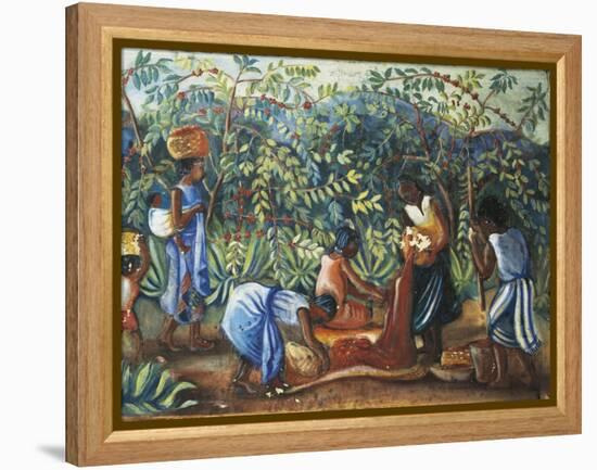 Madagascar, Harvesting Coffee Beans, 20th Century-null-Framed Premier Image Canvas