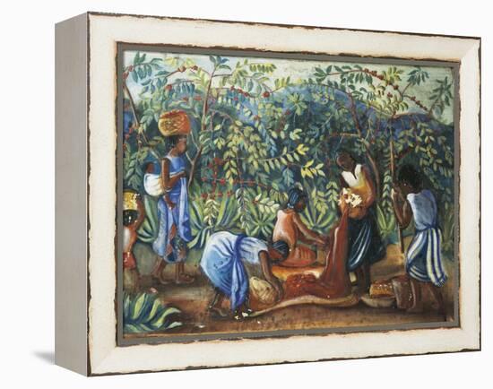 Madagascar, Harvesting Coffee Beans, 20th Century-null-Framed Premier Image Canvas