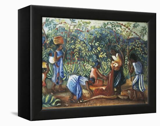 Madagascar, Harvesting Coffee Beans, 20th Century-null-Framed Premier Image Canvas