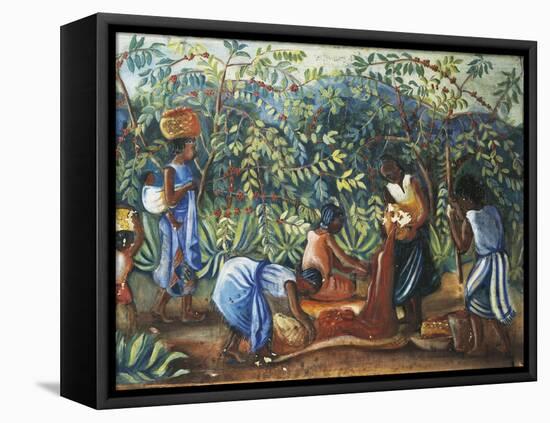 Madagascar, Harvesting Coffee Beans, 20th Century-null-Framed Premier Image Canvas