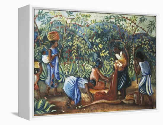 Madagascar, Harvesting Coffee Beans, 20th Century-null-Framed Premier Image Canvas