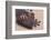 Madagascar Leaf-Tail Gecko-DLILLC-Framed Photographic Print