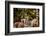 Madagascar Lemurs, Johannesburg, South Africa, Africa-Laura Grier-Framed Photographic Print