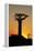 Madagascar, Morondava, Baobab Alley, Adansonia Grandidieri at Sunset-Anthony Asael-Framed Premier Image Canvas