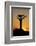 Madagascar, Morondava, Baobab Alley, Adansonia Grandidieri at Sunset-Anthony Asael-Framed Photographic Print