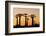 Madagascar, Morondava, Baobab Alley, Adansonia Grandidieri at Sunset-Anthony Asael-Framed Photographic Print