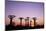 Madagascar, Morondava, Baobab Alley, Adansonia Grandidieri at Sunset-Anthony Asael-Mounted Photographic Print